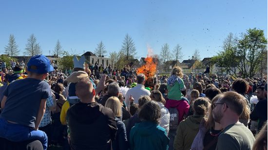 Bild vom Sommertagsumzug 2025